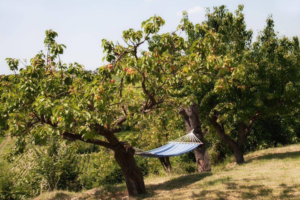 San Damiano al Colle Il Poggio B&B מראה חיצוני תמונה